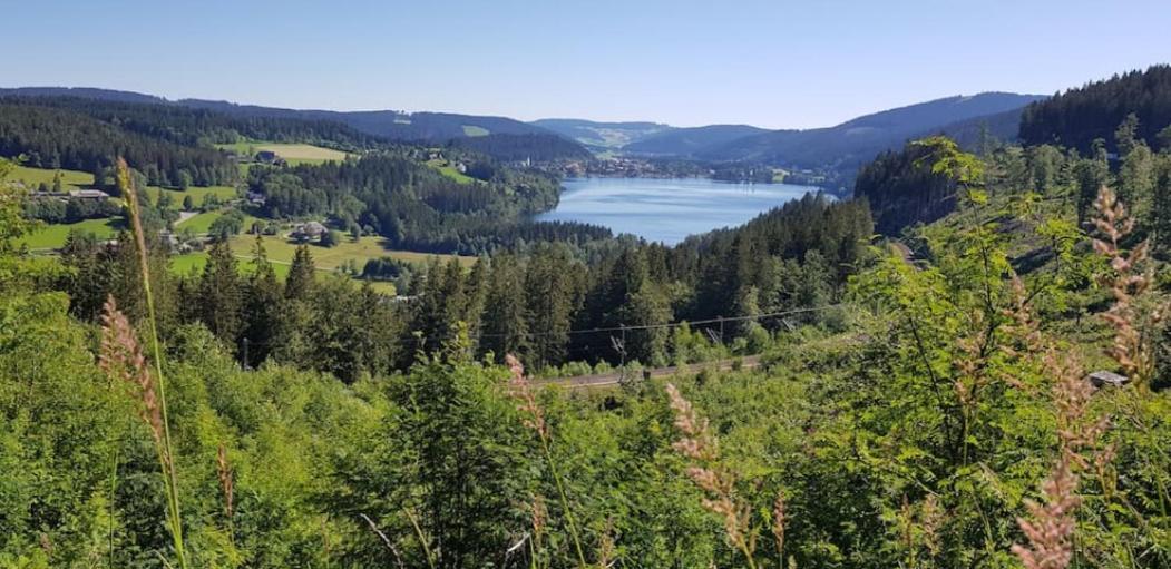 Black Forest Schwarzwaldblick Indoorpool Wifi Natur Komfort โฮเคนชวันด์ ภายนอก รูปภาพ